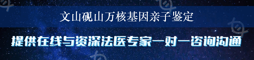 文山砚山万核基因亲子鉴定